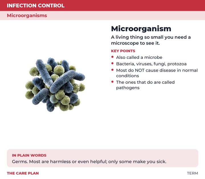 Back of the Microorganism card